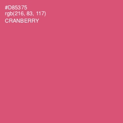 #D85375 - Cranberry Color Image