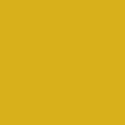 #D8B01C - Gold Tips Color Image