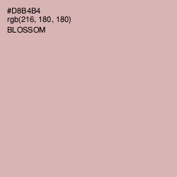 #D8B4B4 - Blossom Color Image