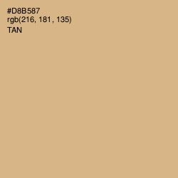 #D8B587 - Tan Color Image