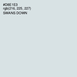 #D8E1E3 - Swans Down Color Image