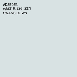 #D8E2E3 - Swans Down Color Image