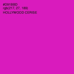 #D91BBD - Hollywood Cerise Color Image