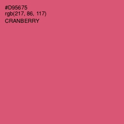 #D95675 - Cranberry Color Image