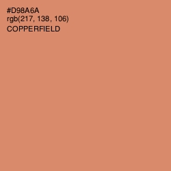 #D98A6A - Copperfield Color Image