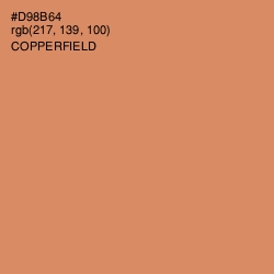 #D98B64 - Copperfield Color Image