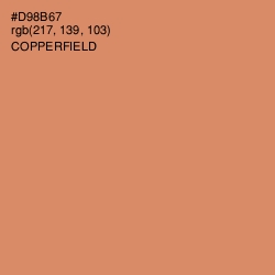 #D98B67 - Copperfield Color Image