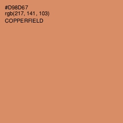 #D98D67 - Copperfield Color Image