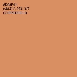 #D98F61 - Copperfield Color Image