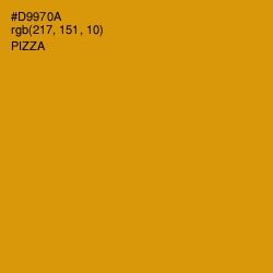 #D9970A - Pizza Color Image