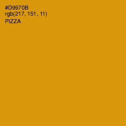 #D9970B - Pizza Color Image