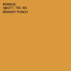 #D9993C - Brandy Punch Color Image