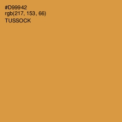 #D99942 - Tussock Color Image