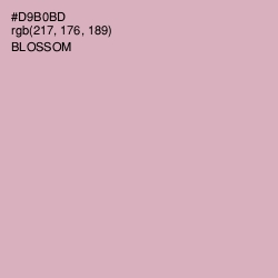 #D9B0BD - Blossom Color Image