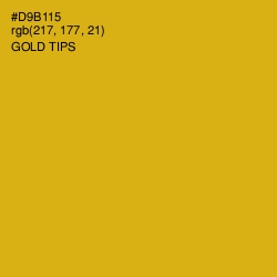 #D9B115 - Gold Tips Color Image