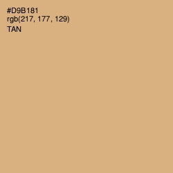 #D9B181 - Tan Color Image