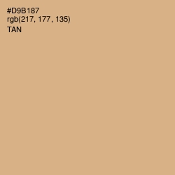 #D9B187 - Tan Color Image