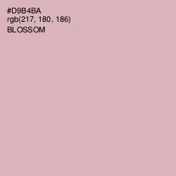 #D9B4BA - Blossom Color Image