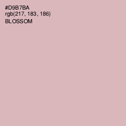 #D9B7BA - Blossom Color Image