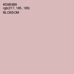 #D9B9B9 - Blossom Color Image