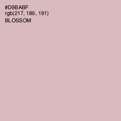 #D9BABF - Blossom Color Image