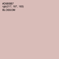 #D9BBB7 - Blossom Color Image
