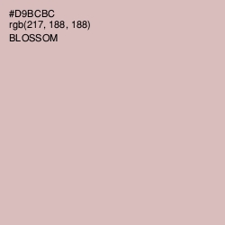 #D9BCBC - Blossom Color Image