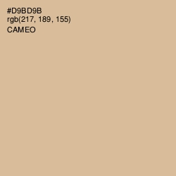 #D9BD9B - Cameo Color Image