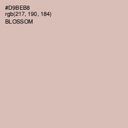 #D9BEB8 - Blossom Color Image