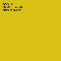 #D9C117 - Bird Flower Color Image