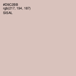 #D9C2BB - Sisal Color Image