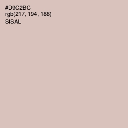 #D9C2BC - Sisal Color Image