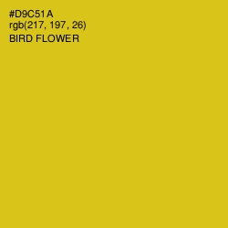 #D9C51A - Bird Flower Color Image