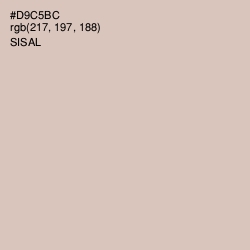 #D9C5BC - Sisal Color Image