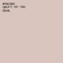 #D9C5BE - Sisal Color Image