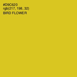 #D9C620 - Bird Flower Color Image