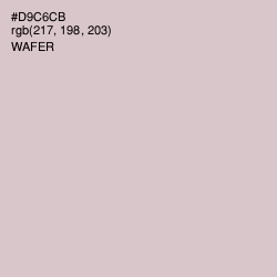 #D9C6CB - Wafer Color Image