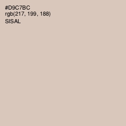 #D9C7BC - Sisal Color Image