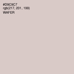 #D9C9C7 - Wafer Color Image