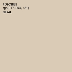 #D9CBB5 - Sisal Color Image