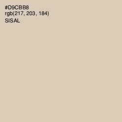 #D9CBB8 - Sisal Color Image