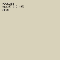 #D9D2BB - Sisal Color Image