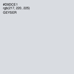 #D9DCE1 - Geyser Color Image
