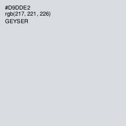 #D9DDE2 - Geyser Color Image