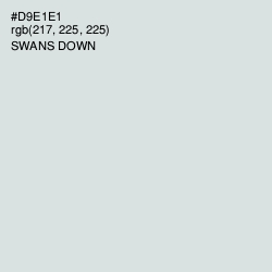 #D9E1E1 - Swans Down Color Image