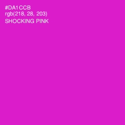 #DA1CCB - Shocking Pink Color Image