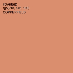 #DA8E6D - Copperfield Color Image