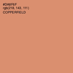 #DA8F6F - Copperfield Color Image