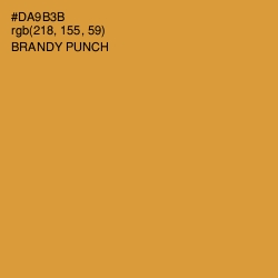 #DA9B3B - Brandy Punch Color Image