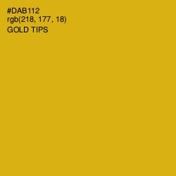 #DAB112 - Gold Tips Color Image